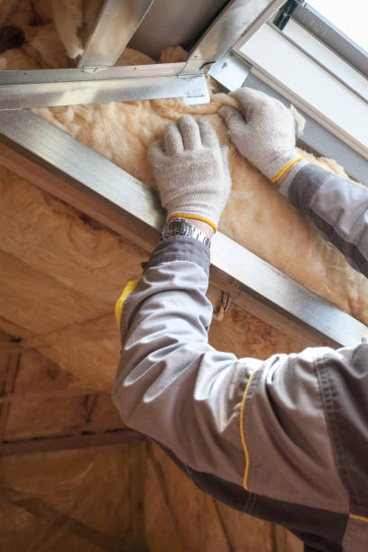 Best Eco-Friendly Insulation in Ben Avon, PA