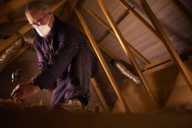 Best DIY Insulation Kits and Guidance in Ben Avon, PA