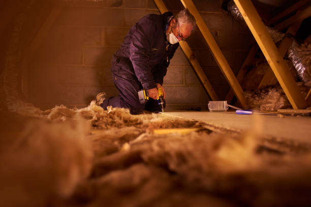 Best Cellulose Insulation in Ben Avon, PA