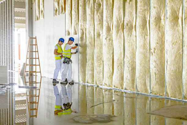 Types of Insulation We Offer in Ben Avon, PA